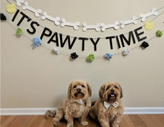 Dog/Pet Birthday Party Decorations 3pc set