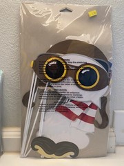 Lil’ Flyer Airplane Birthday Party Photo Booth 10″ Props Birthday Decor 10 ct.