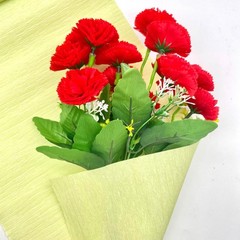 Light Green Crepe Paper Rolls 250×25 cm DIY Gift Wrapping Crafts Flower