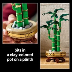 LEGO Botanicals Lucky Bamboo Building Set Artificial Plant Home Office Decor