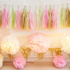 15pcs Paper Pom Poms, Orange/Dark Rose Red/Goose Yellow/Fruit Green/Lake Blue