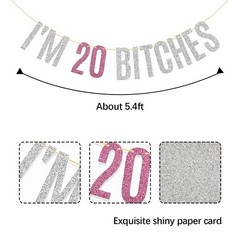Glitter I’m 20 Bitches Banner Happy 20th Birthday Banner 20th Anniversary Girl’s