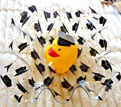 Graduation Decorations 2026 2 Bowl Set with Rubber Duckies NEW