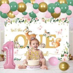 Balterver Deer 1st Birthday Decorations for Girls – Sage Green & Pink Kit wit…