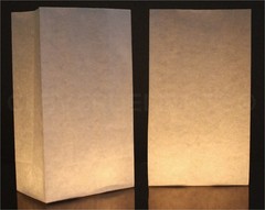 50 Pack White Luminary Bags Wedding Christmas Holiday Luminaria Decoration