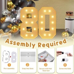 Marquee Numbers 80th Anniversary Set