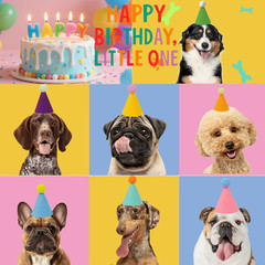 Mini Party Hats for Stuffed Animals Dolls Pets Birthday Cone Hats Assorted Pack