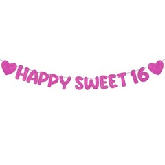 Pre Strung Happy Sweet 16 Banner Glitter Sixteenth Birthday Party Hot Pink