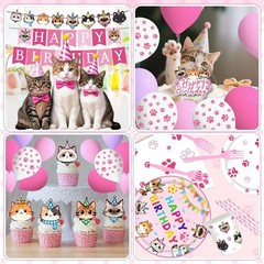 Pink Birthday Cats and Kittens Disposable Tableware Set and Decorations