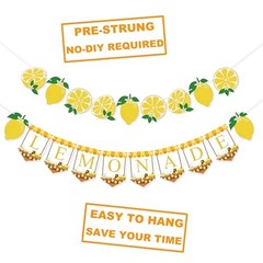 Lemonade Stand Supplies Banner Lemonade Sign Lemon Garland for Summer Birthday