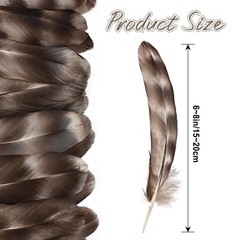 Daieeparty 12pcs Natural Grey Reed Chicken Feathers Bulk 6-8 inch Chinchilla …