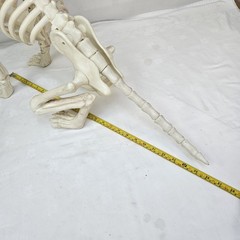 Large Crazy Bonez Skeleton Wolf Halloween Decoration Poseable Static Display Pro