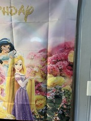Disney PRINCESS hanging Backdrop~5ftx3ft~Happy birthday~vibrant Colors