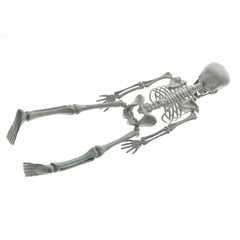 New Poseable Full Party Prop Decoration Human Skeleton Halloween 40cm