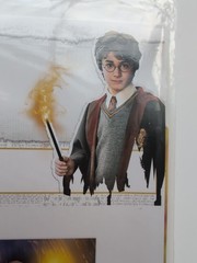 Backdrop Harry Potter Party Hogwarts Decoration