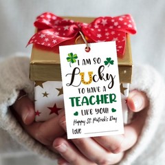 St Patricks Day Party Supply Lot 30pc Decor Set 50 Teacher Gift Tags Guinness