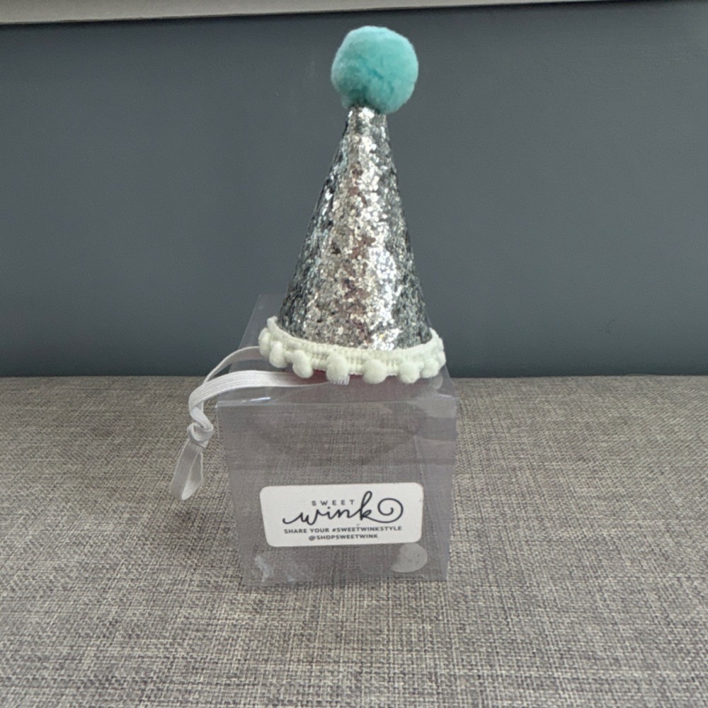 Sweet Wink Silver Glitter Birthday Hat with Blue Pom for Baby/Kid/Pet