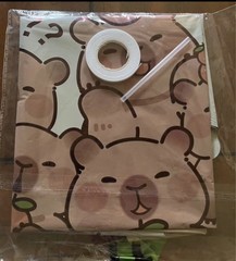 Capybara Birthday Party Decoration Lot