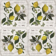 LEMON BOTANY Cocktail Paper Napkins 20pcs Decorative Napkins for Decoupage