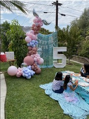 Bobo Balloons Kit 40Pcs Baloon Arch Kit, Clear Balloons Decor For Birthdays, …