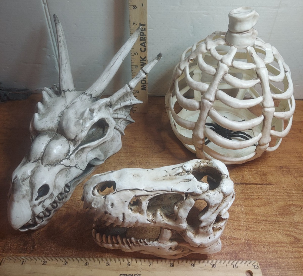 Lot of 3 Bone Skull and Cage Halloween Decorations