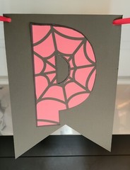SPIDERMAN SPIDEY KID BOY GIRL HAPPY BIRTHDAY PARTY BANNER