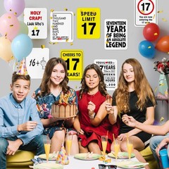 17th Birthday Party Decorations – 9PCS Wall Signs Funny Tags for Teenagers 17…