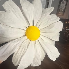 White Crepe Paper Roll 9.8 Inch x 8 Ft Flower Making Wedding Party DIY Craft