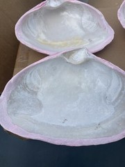 Jumbo Shells Gender Reveal , Baby Shower , Decor , Centerpiece, Craft Pink (6)
