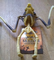 HANGING BAT SKELETON creepy Town 30x17x5cm Solid Plastic Funky Halloween Fun
