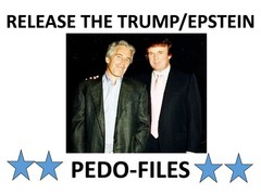 Release the Epstein Files – Anti-Trump 2025 18×24 Yard Sign w/ stake