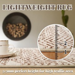 2×3 Washable Entryway Area Rug: Moroccan Small Runner Rug for 2′ x 3′, Beige