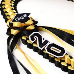 Graduation Leis 2026 Graduation Tassel Honor Cords Ribbon Leis Braided Necklace