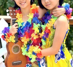 12pcs Hawaiian Flower Garland Leis Necklace Fancy Dress Hawaii Beach Party Decor