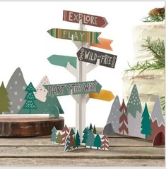 Party Wilderness Directional Sign Table Decoration Centerpiece Kit (3 pcs)