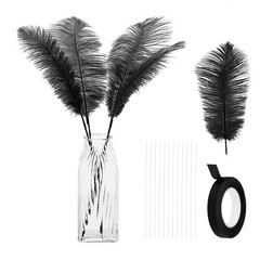 12 Pcs 10-12 Inch/ 25-30 cm Natural Ostrich Feathers Making Kit (Black)