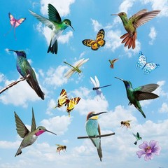 32 Pieces Extra Large Hummingbird Butterfly Window 32 Pieces, Multicolour