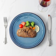Hasense Ceramic Dinner Plates Set of 4, 10 Inch Large Porcelain Plates