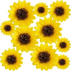 10 Pack Sunflower Tissue Paper Pom Poms, Yellow, 12, 8, Wall Hanging Decor