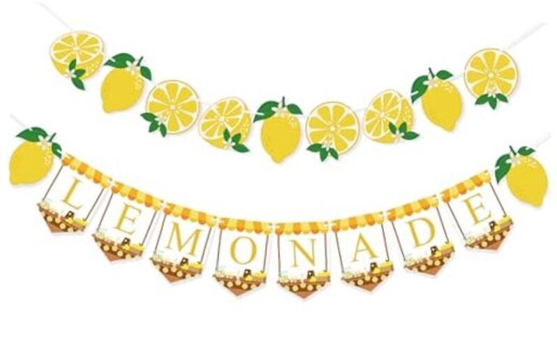 Lemonade Stand Supplies Banner Lemonade Sign Lemon Garland for Summer Birthday