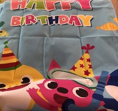 Baby Shark Tablecloth & Backdrop Set