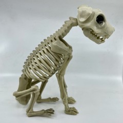 Halloween Dog Skeleton Canine Werewolf Prop Scary Haunted House Decoration 12″