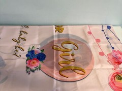 What will Baby Be Gender Reveal Fabric Backdrop Grommets NEW 70×43 inches