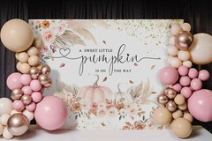 Mocsicka Pumpkin Baby Shower Backdrop Autumn Fall Little Pumpkin Baby Shower …