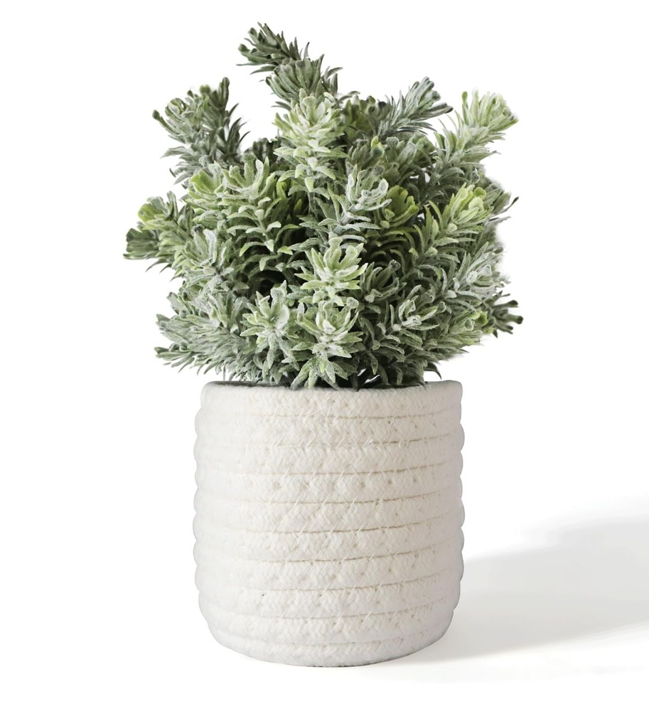 Hopewood Small Artificial Plants Eucalyptus with a Weave Green Plant Style B
