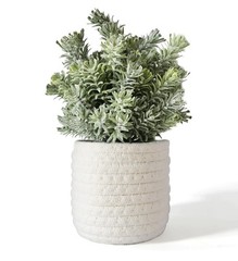 Hopewood Small Artificial Plants Eucalyptus with a Weave Green Plant Style B