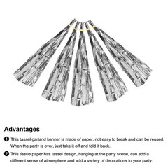 30Pcs Bright Silver Tassel Garland Banner with Rope