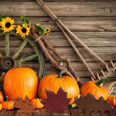 Qunclay 6 Pcs Fall Thanksgiving Decor Maple Leaves Wood Sign Brown