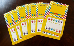 30 Assorted Write on Name Labels + Fast Shipping