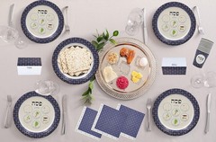 Festive 24-Pack Disposable 9″ Passover Seder Plates – Perfect for Gatherings